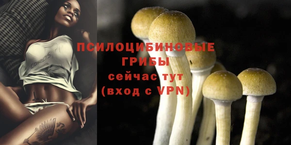спиды Белокуриха