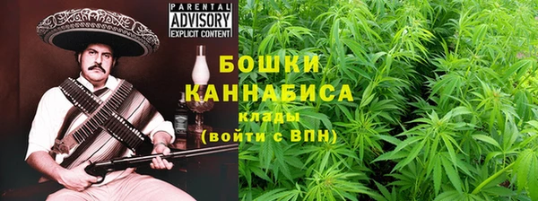 ПСИЛОЦИБИНОВЫЕ ГРИБЫ Богородск