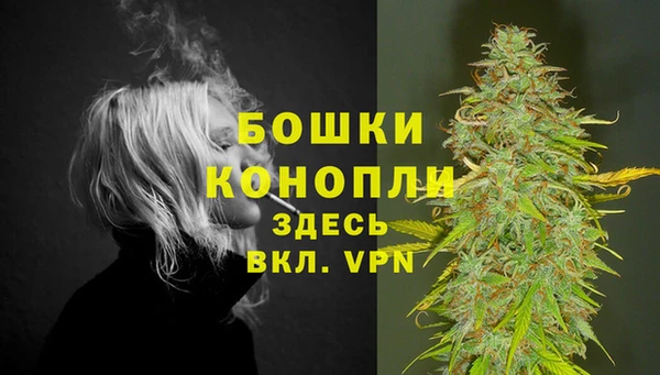 спиды Белокуриха