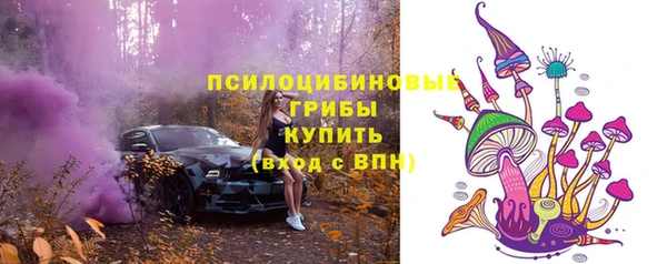 прущие крисы Богданович